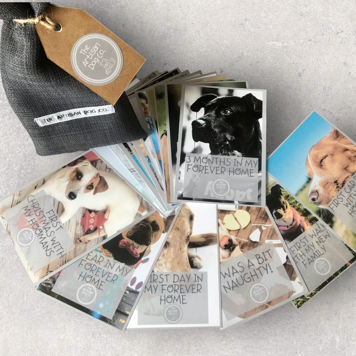New Dog Milestone Cards