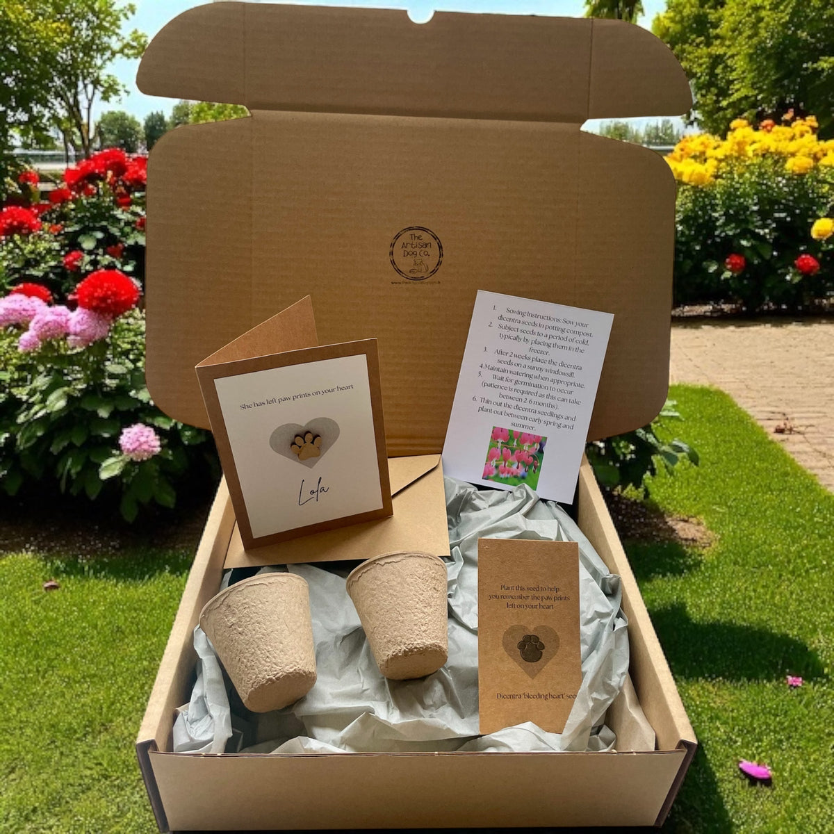 Personalised Pet Sympathy Gift Set – Memorial Plant Seeds &amp; Card for Dog or Cat Loss