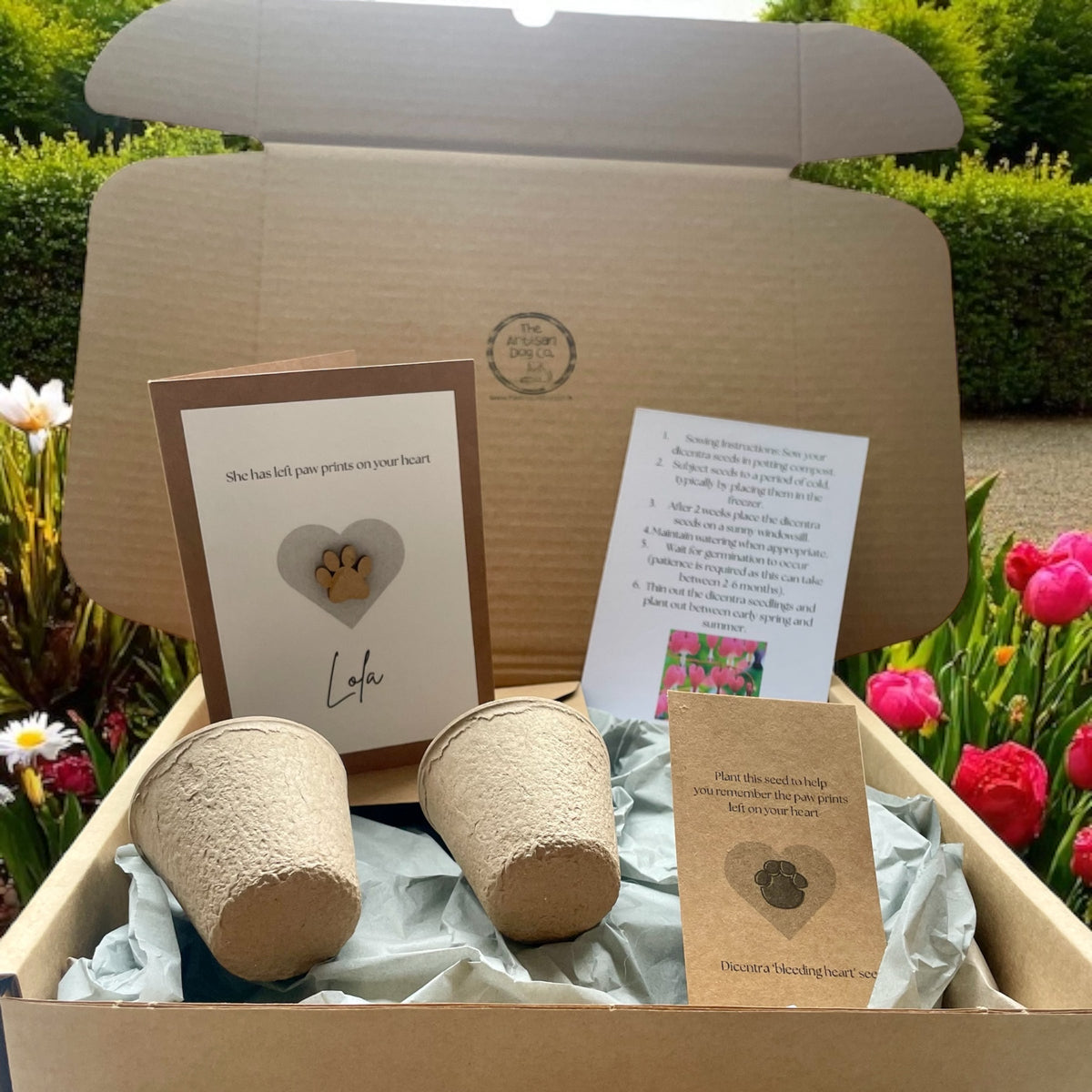 Personalised Pet Sympathy Gift Set – Memorial Plant Seeds &amp; Card for Dog or Cat Loss