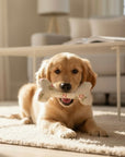 Handcrafted Toy Squeaky Dog Bone - choice of fabrics
