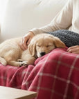 Drogo Red Check Dog Blanket | Luxury Handmade Reversible Sherpa Throw | Customisable Pet Blanket UK