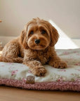 Double Sided Pillow Bed/Crate Cushion - The Dolly Floral Collection