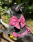 Signature Pink Chihuahua Print Exclusive Small Sailor Bow by My Chi and Me