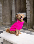 Fandango Pink British Wool Dog Jumper