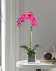Faux Orchid Plant in Square Vase - 20"