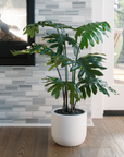 3' Faux Tropical House Plant, Potted Philodendron