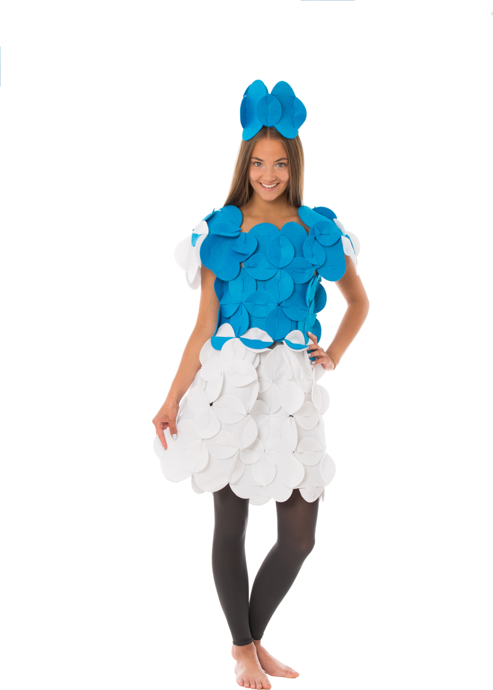 Costume Puzzle Priscilla Adventurous Princess