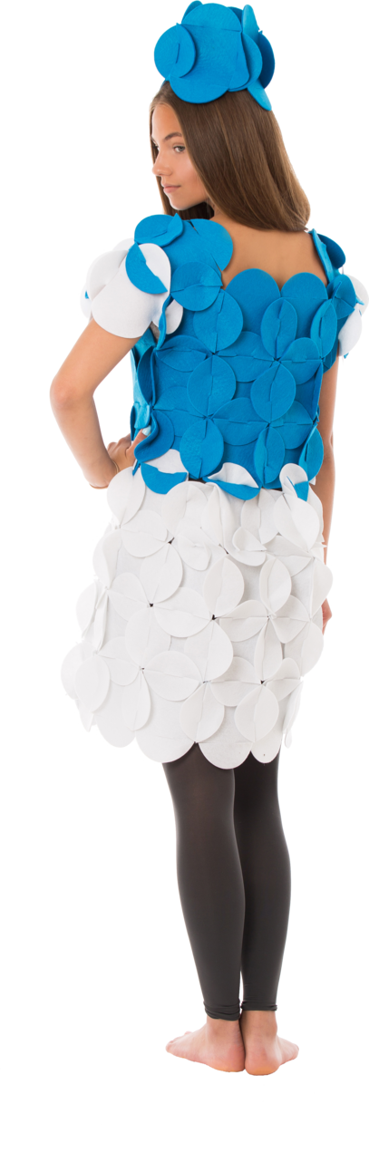 Costume Puzzle Priscilla Adventurous Princess