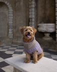 Purple Dog Jumper in Pure Merino Lambswool