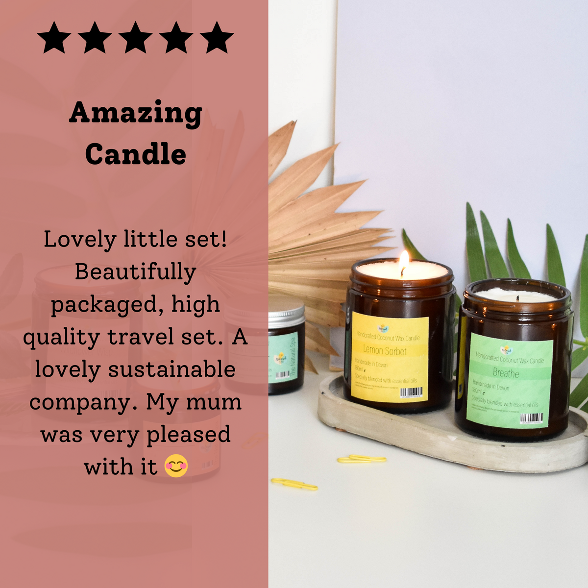 Wildflower Wisp Hand-Poured Coconut Wax Candle | Floral &amp; Natural Aromatherapy | Vegan, Eco-Friendly Candle | 2 Size Options