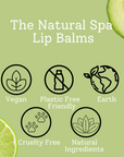 Cucumber Lime Natural Lip Balm | Vegan, Hydrating & Nourishing | Plastic-Free, Handmade Lip Care