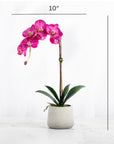 Real Touch Pink Phalaenopsis Orchid Plant - 21"