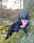 Rugged Rover™ Harness - Peachy Hearts