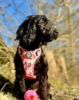 Rugged Rover™ Harness - Peachy Hearts