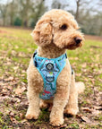 Rugged Rover™ Harness - Jurassic Party