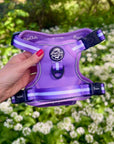 Rugged Rover™ Harness - Lilac Blush