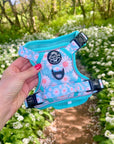 Rugged Rover™ Harness - Pastel Daisy