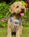 Rugged Rover™ Harness - Pretty Petals
