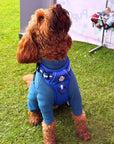Rugged Rover™ Harness - Royal Blue
