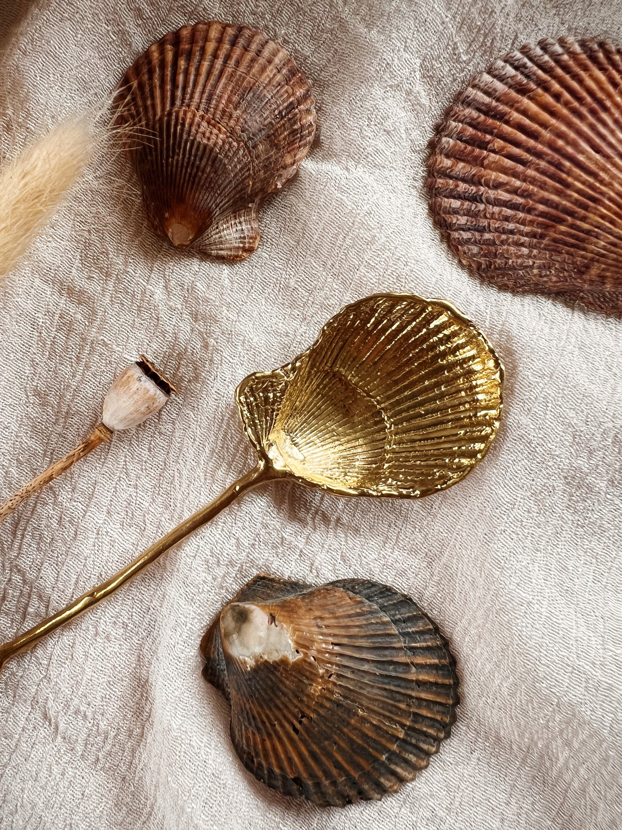 SHELL SPOON