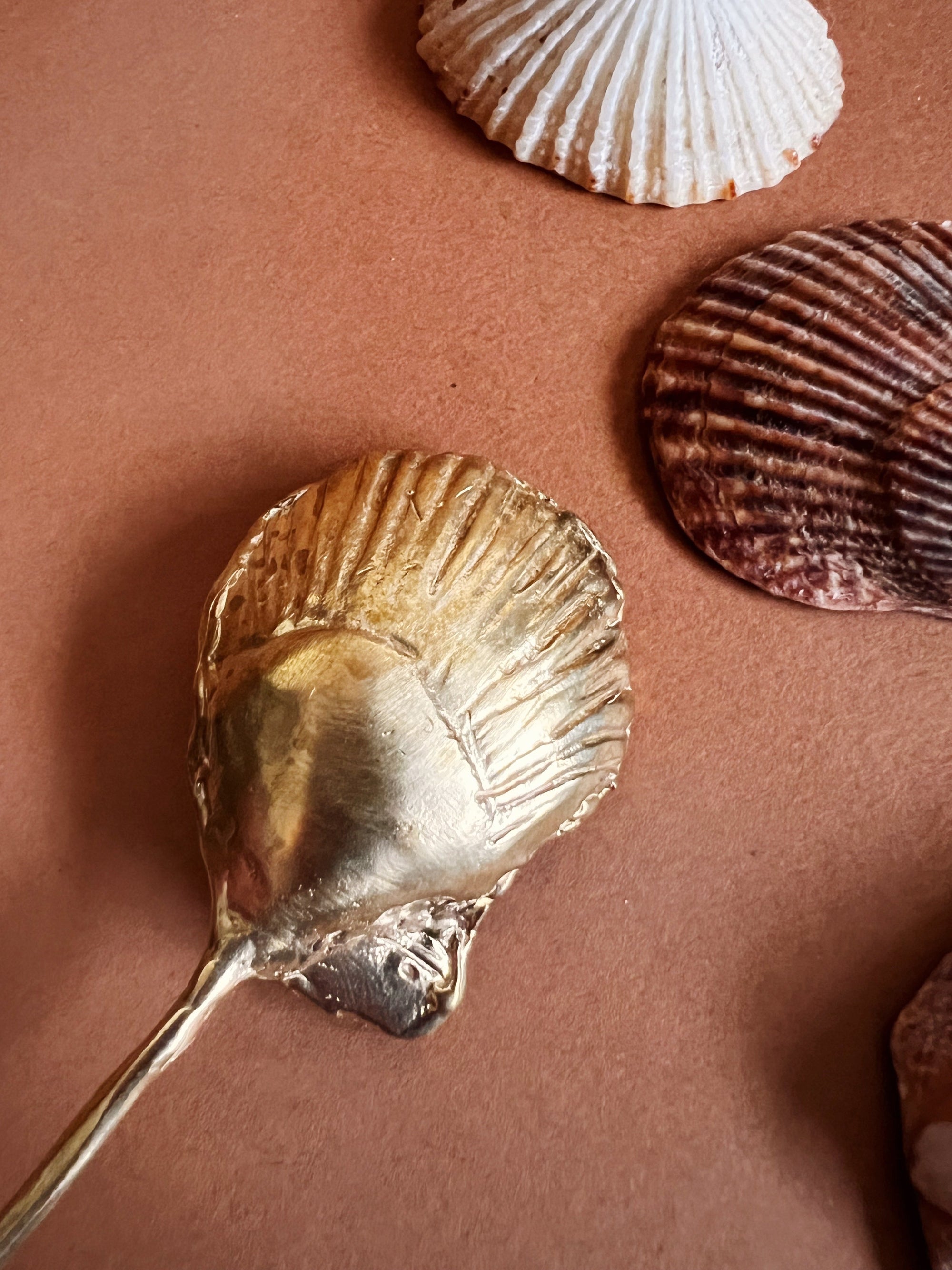 SHELL SPOON