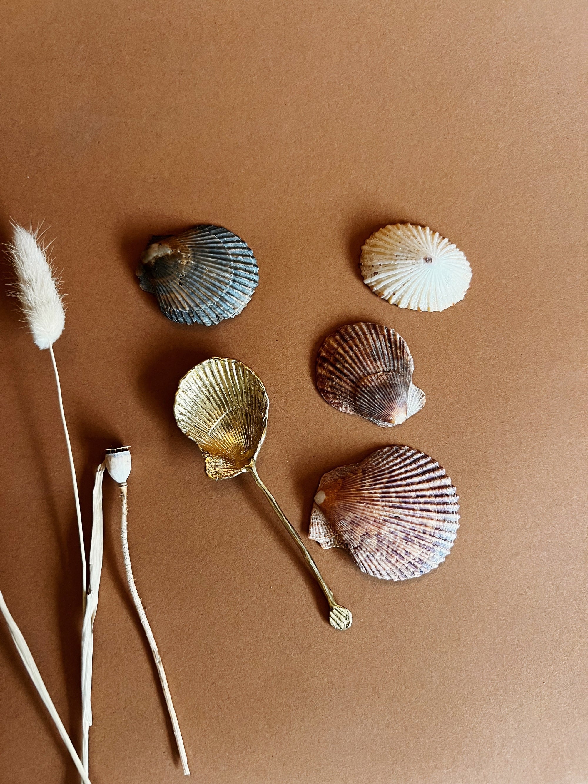 SHELL SPOON