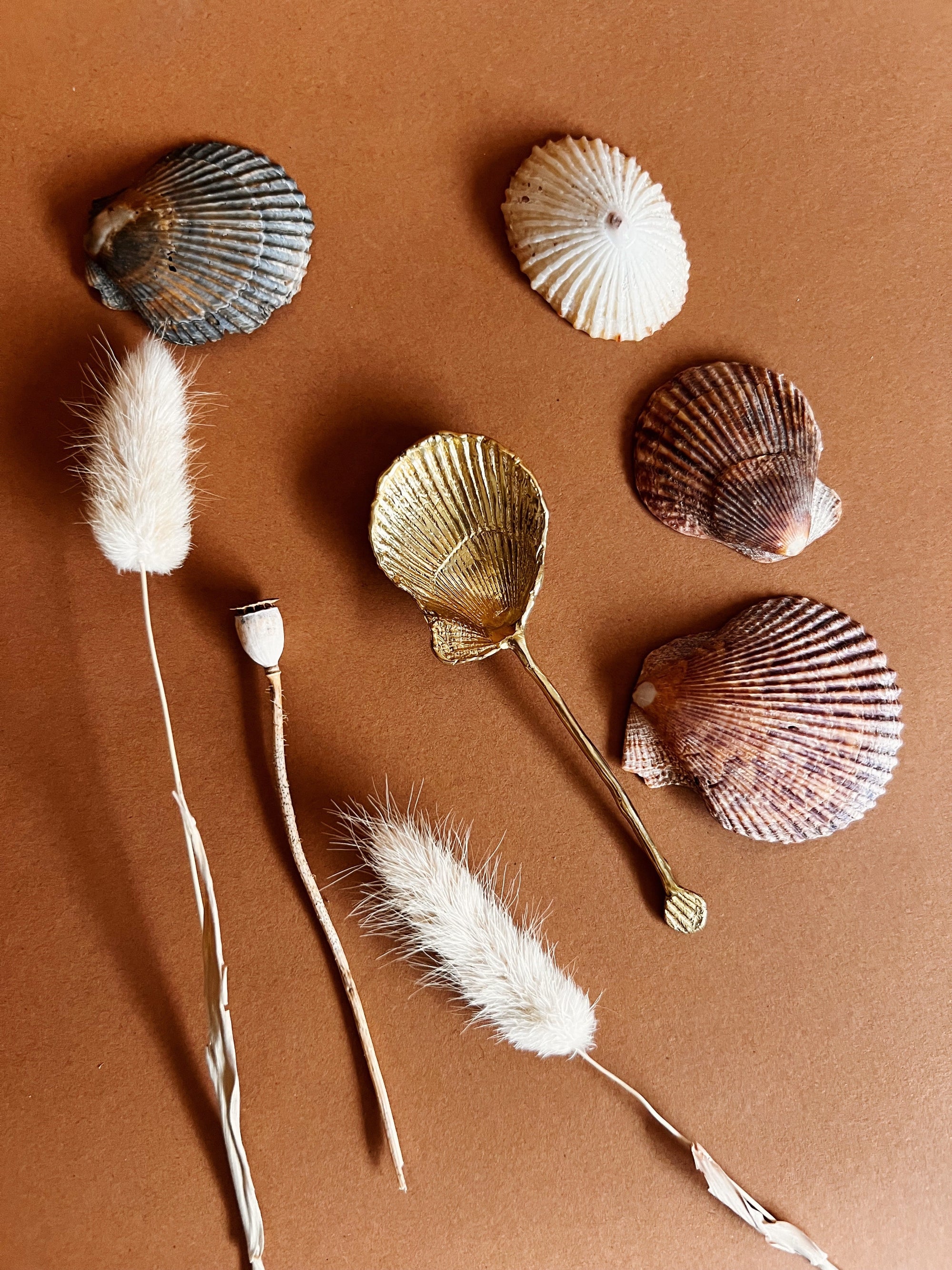 SHELL SPOON