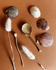 SHELL SPOON