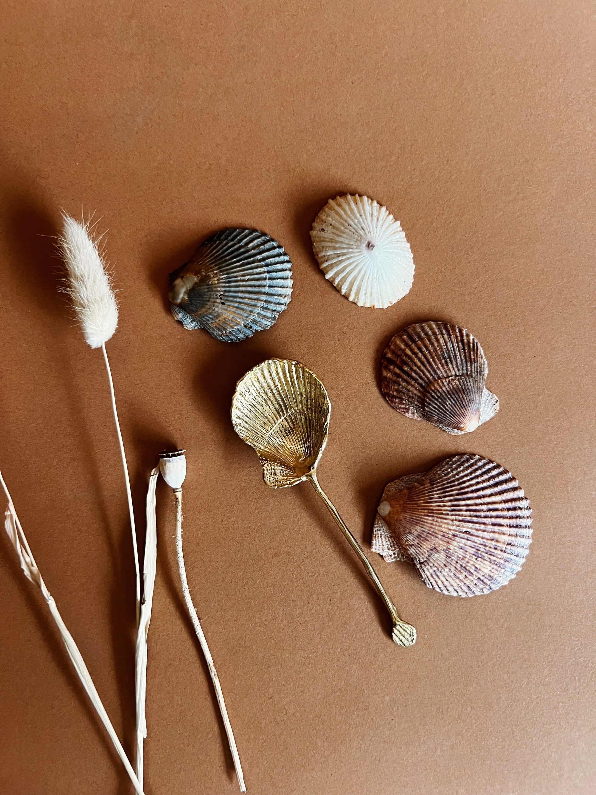 SHELL SPOON