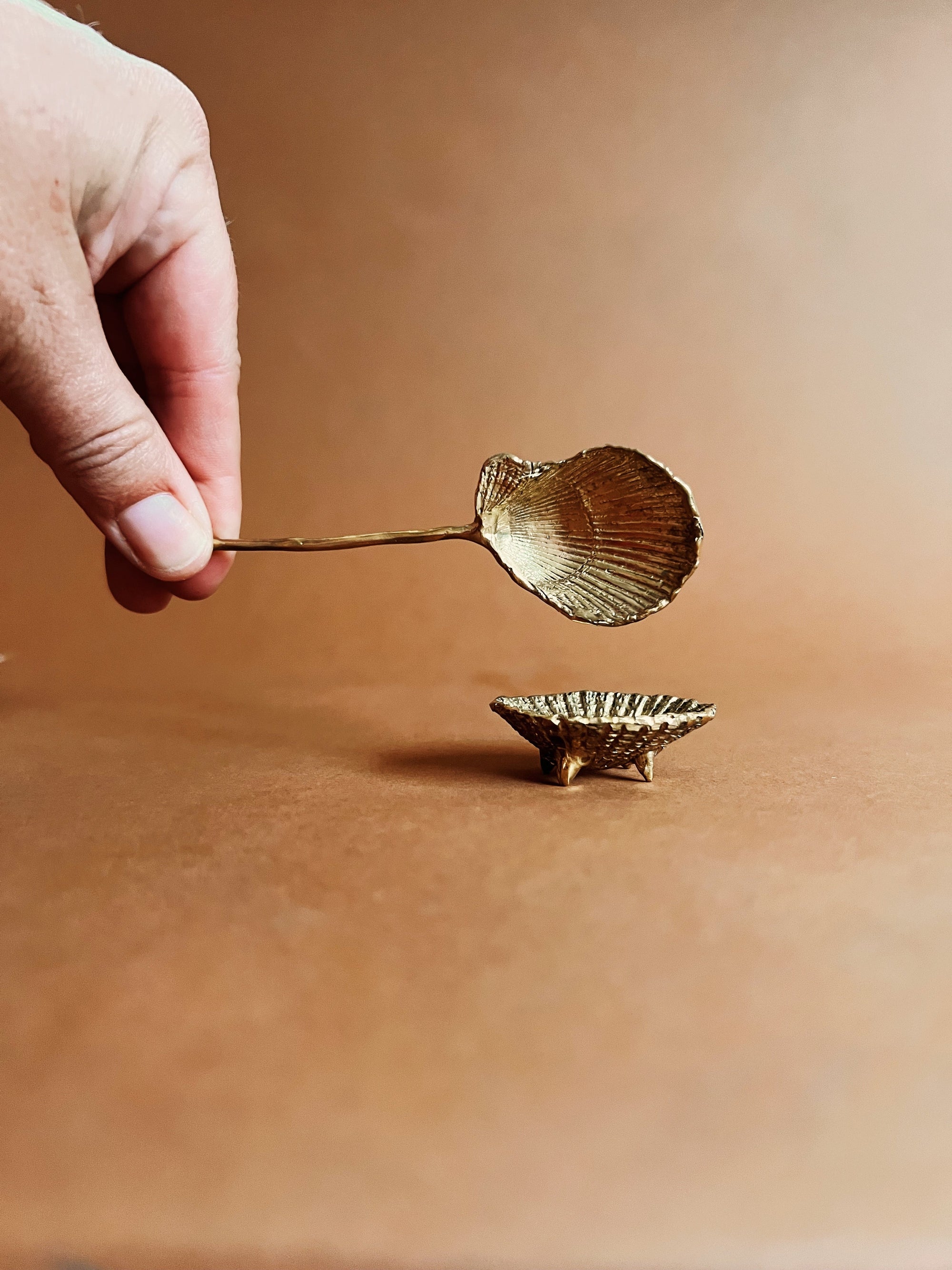 SHELL SPOON