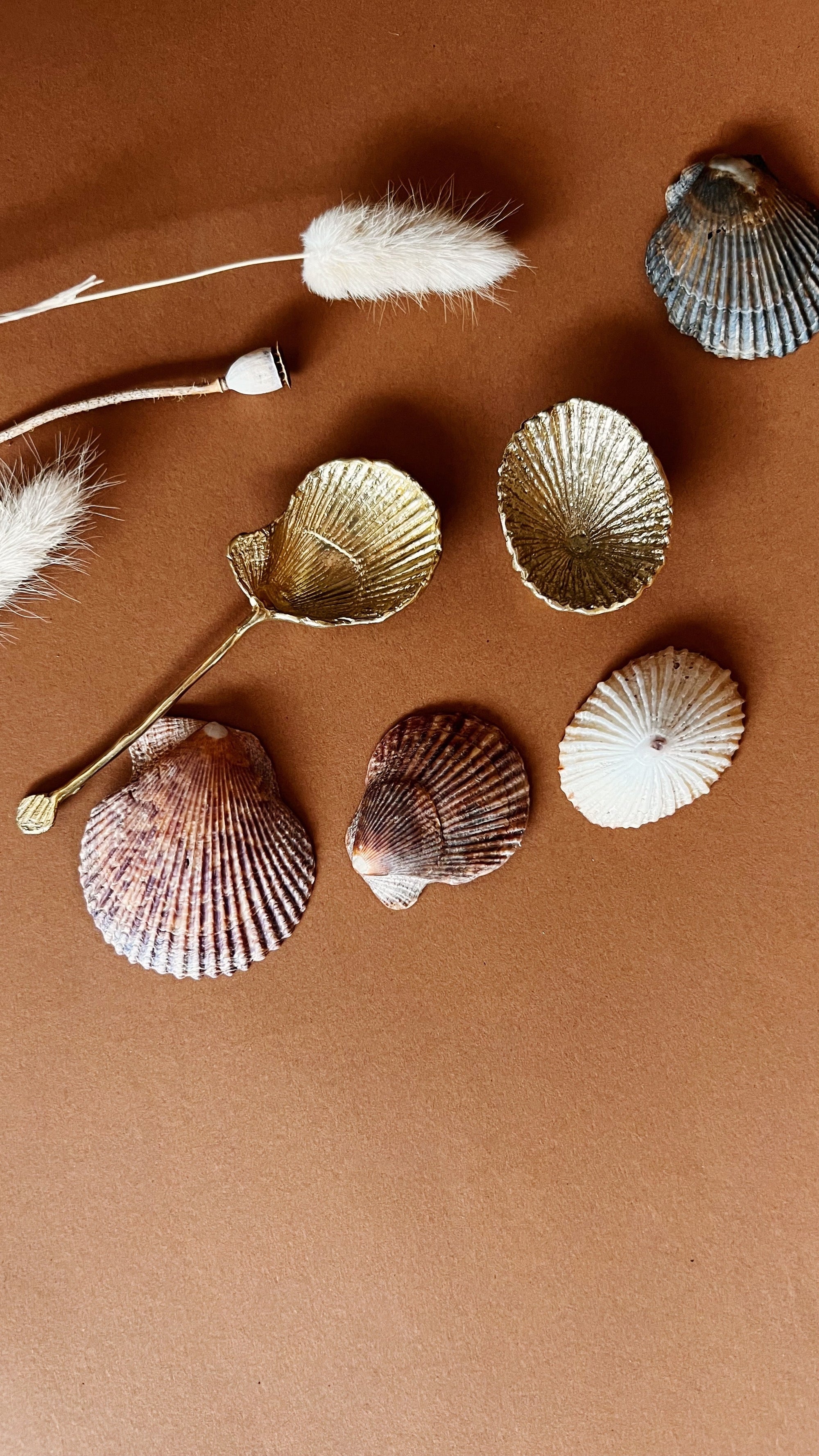 SHELL SPOON
