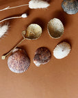 SHELL SPOON