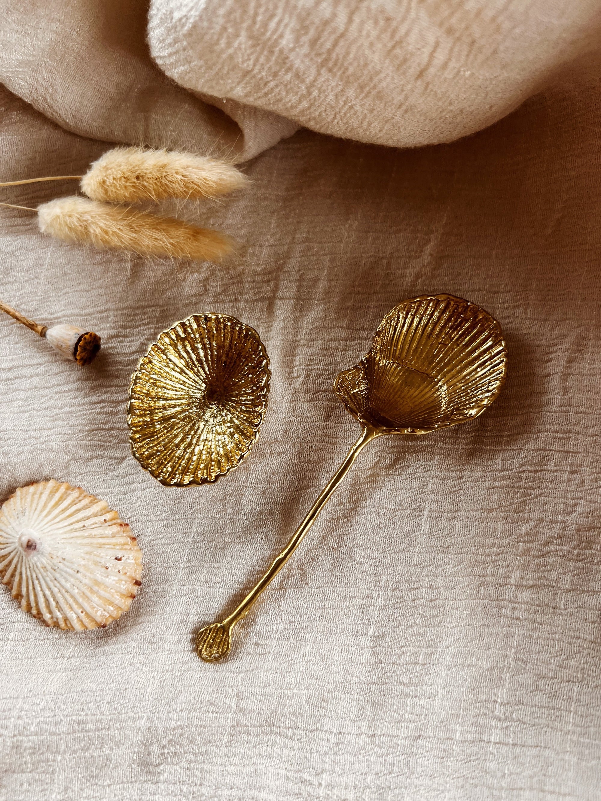 SHELL SPOON