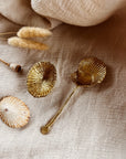 SHELL SPOON