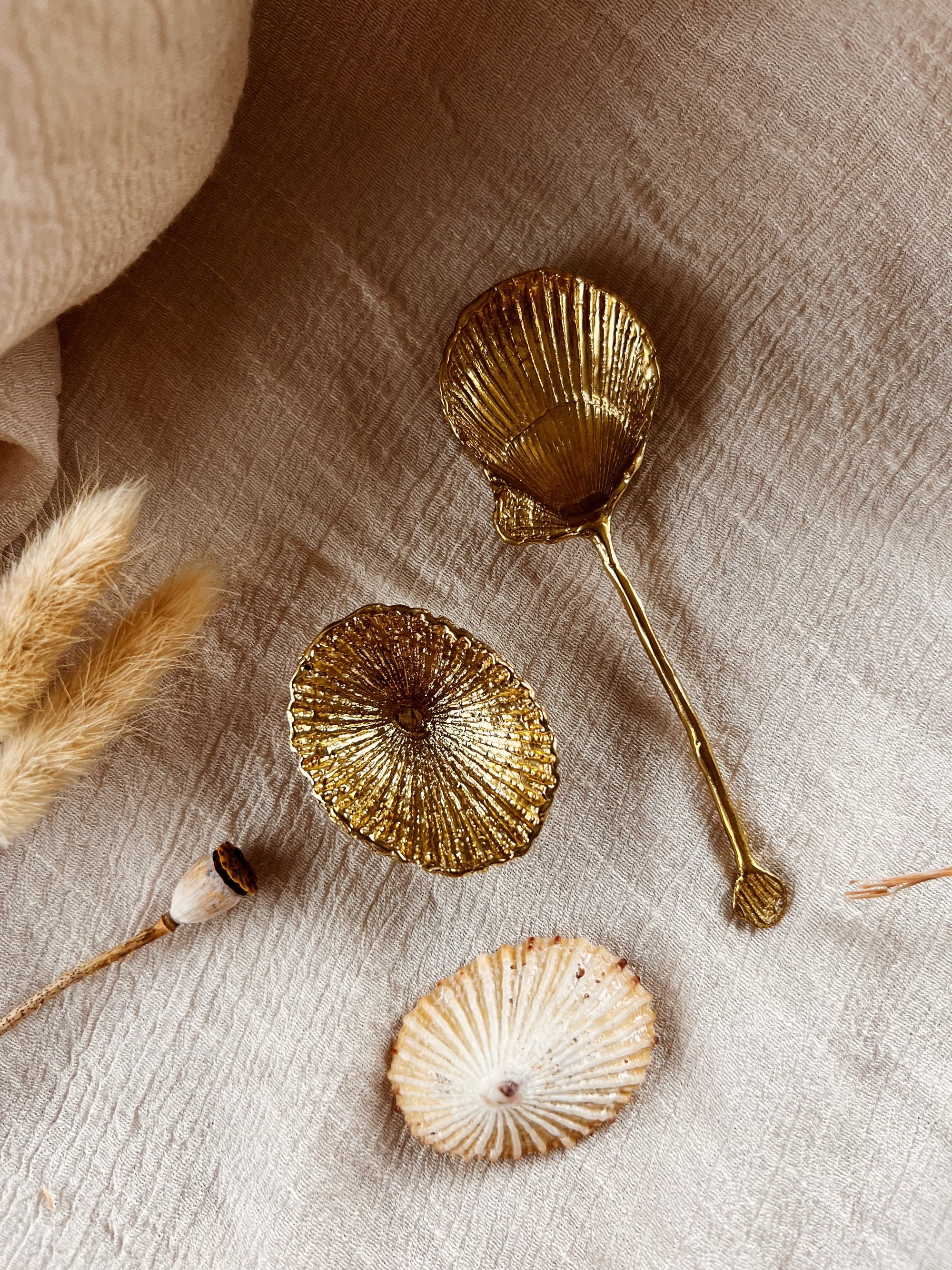 SHELL SPOON