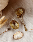SHELL SPOON