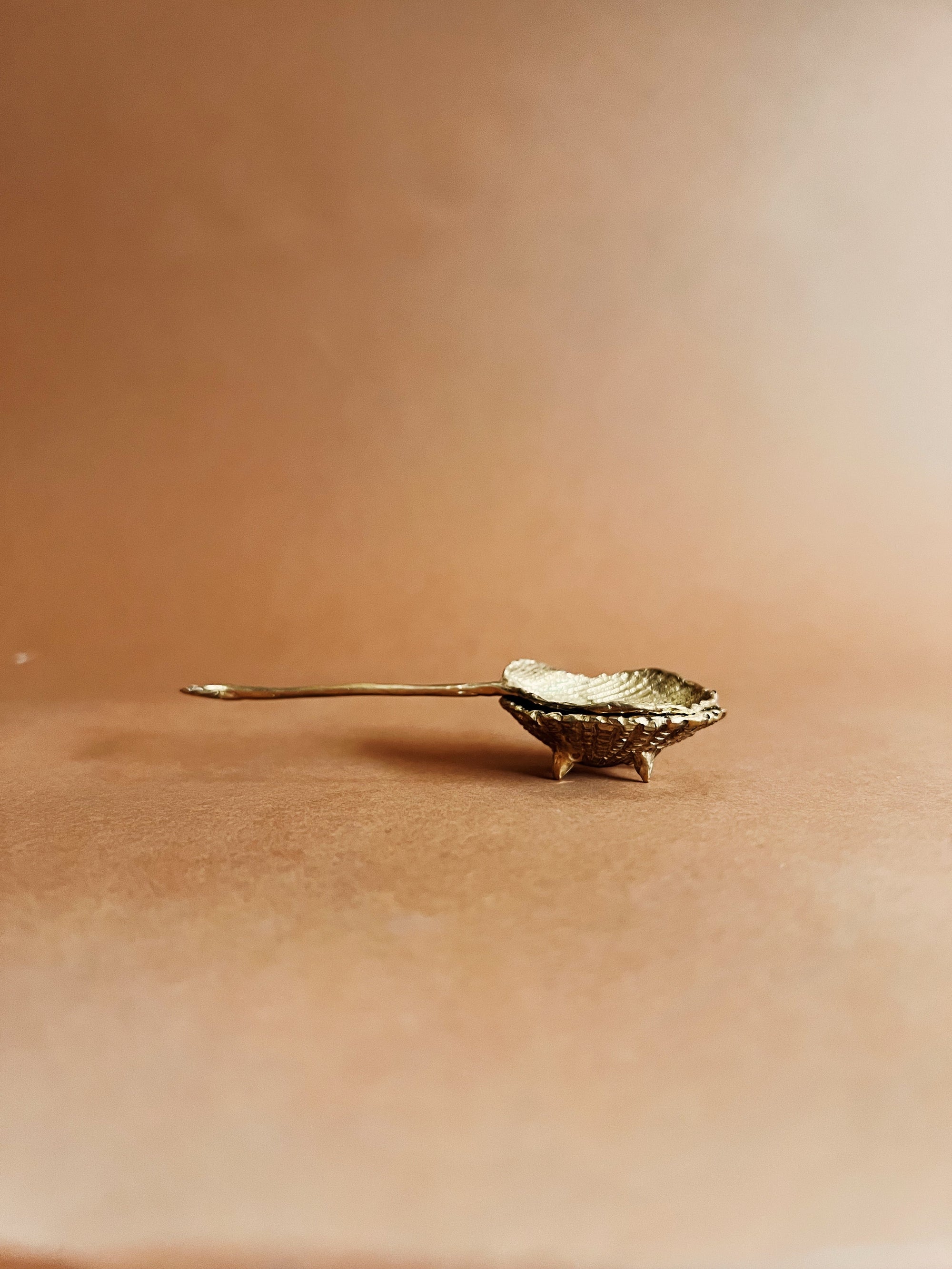 SHELL SPOON