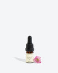 Organic Mentha Spicata Essential Oil – Calm, Focus & Freshness by Smells Like Spells at www.brixbailey.com