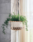Jhuri Single Hanging Basket