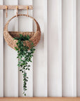 Savar Wall Hanging Basket-1