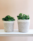 White Jute Plant Basket