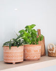 Hand Etched Terracotta Pot - Large