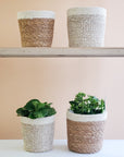 White Jute Plant Basket