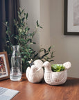 Terracotta Pot - Turtle Dove-4