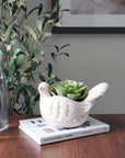 Terracotta Pot - Turtle Dove-1