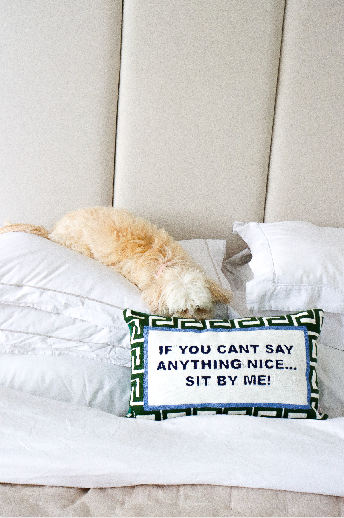 If You Can&#39;t Say Anything Nice...Sit By Me Needlepoint Cushion