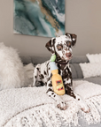Canine Cerveza dog toy