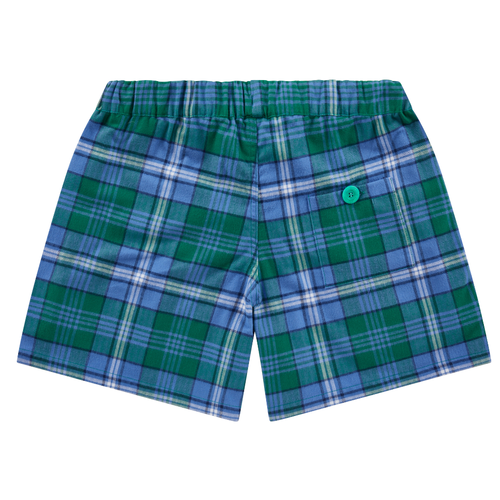 Green Sea Turtle short shorts
