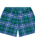 Green Sea Turtle short shorts