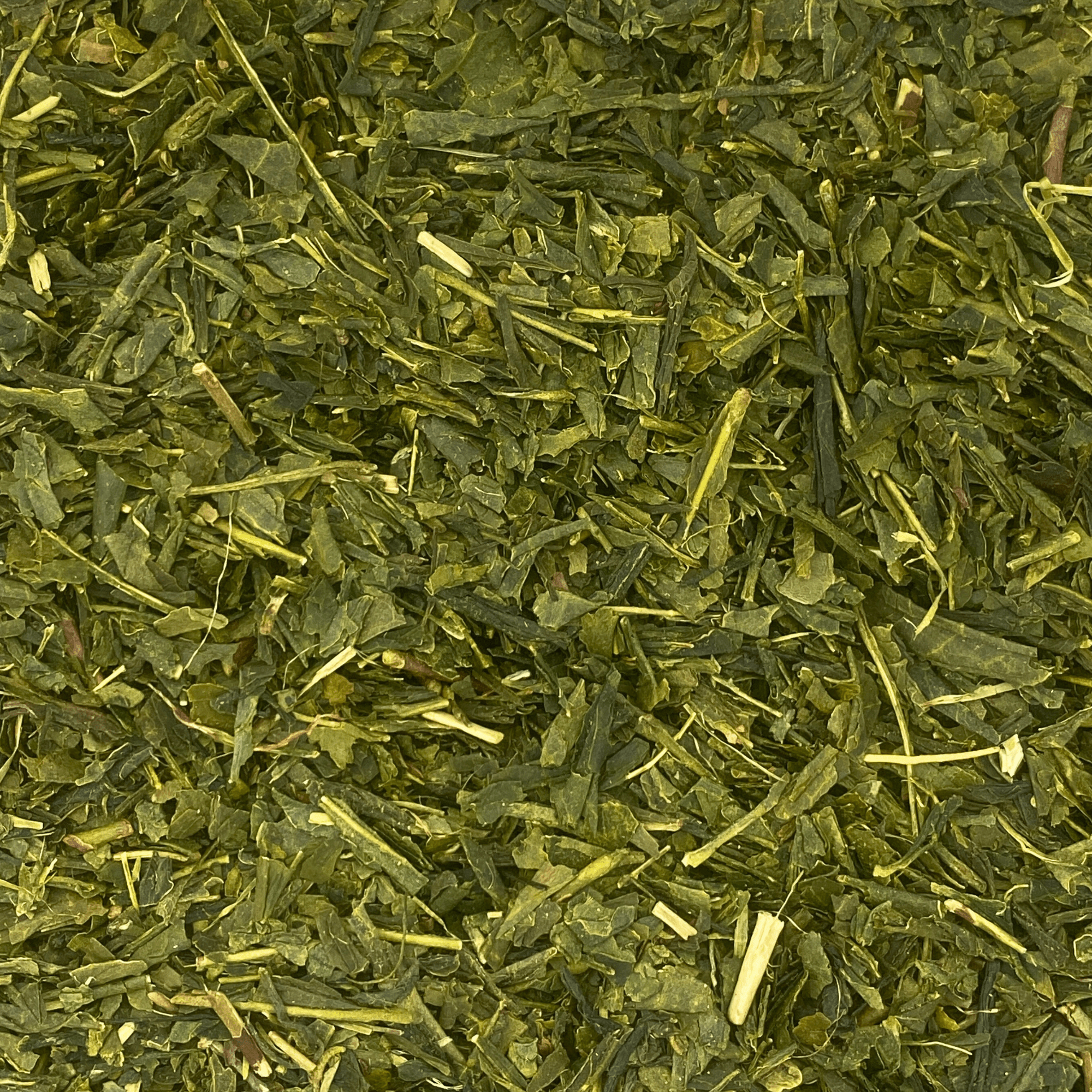 Sencha